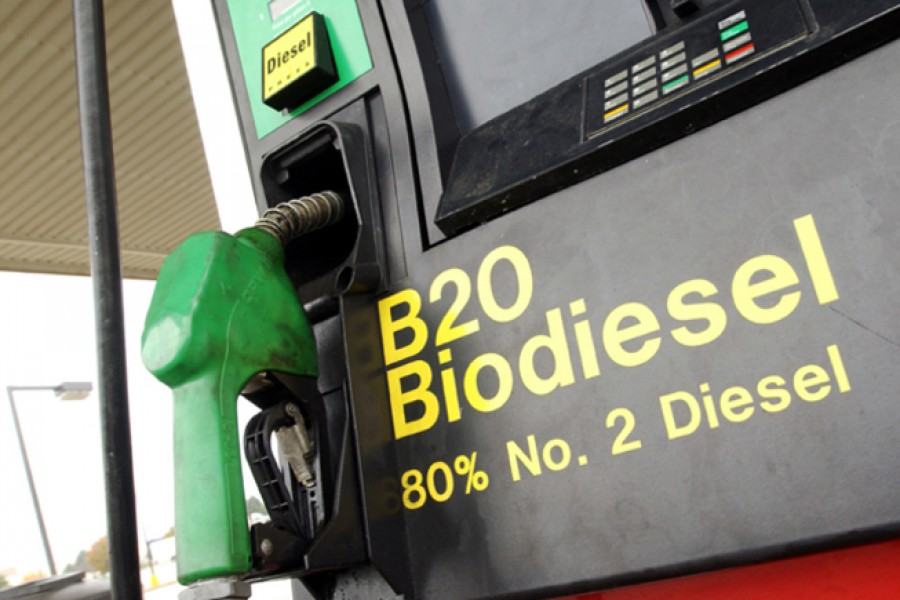 RU2393006C1 - Способ получения биодизельного топлива - Google Patents